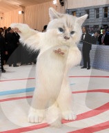 PEOPLE - Met Gala 2023: Jared Leto erscheint als Lagerfelds Katze Choupette