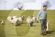 ‘People want to be green’: the rise of Devon eco-bedmaker Naturalmat