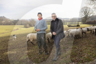 ‘People want to be green’: the rise of Devon eco-bedmaker Naturalmat