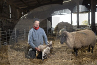 ‘People want to be green’: the rise of Devon eco-bedmaker Naturalmat