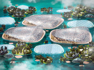 Floating island set to help care for the world's oceans.              