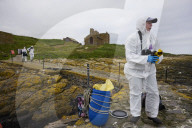 'We feel more prepared': Farne Islands face another season battling avian flu