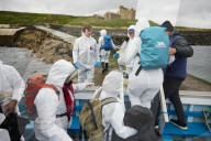 'We feel more prepared': Farne Islands face another season battling avian flu