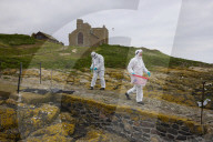 'We feel more prepared': Farne Islands face another season battling avian flu