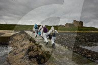 'We feel more prepared': Farne Islands face another season battling avian flu