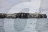 'We feel more prepared': Farne Islands face another season battling avian flu