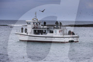'We feel more prepared': Farne Islands face another season battling avian flu