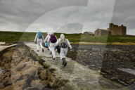 'We feel more prepared': Farne Islands face another season battling avian flu