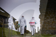 'We feel more prepared': Farne Islands face another season battling avian flu