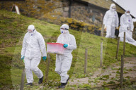 'We feel more prepared': Farne Islands face another season battling avian flu