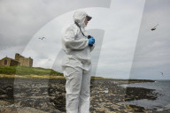 'We feel more prepared': Farne Islands face another season battling avian flu
