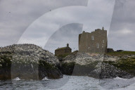 'We feel more prepared': Farne Islands face another season battling avian flu