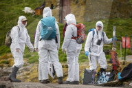 'We feel more prepared': Farne Islands face another season battling avian flu
