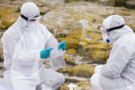 'We feel more prepared': Farne Islands face another season battling avian flu