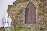 'We feel more prepared': Farne Islands face another season battling avian flu
