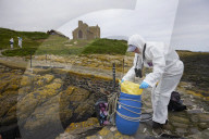 'We feel more prepared': Farne Islands face another season battling avian flu