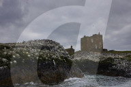 'We feel more prepared': Farne Islands face another season battling avian flu