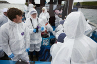 'We feel more prepared': Farne Islands face another season battling avian flu