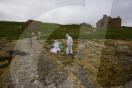 'We feel more prepared': Farne Islands face another season battling avian flu