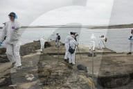 'We feel more prepared': Farne Islands face another season battling avian flu
