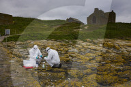 'We feel more prepared': Farne Islands face another season battling avian flu