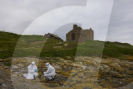 'We feel more prepared': Farne Islands face another season battling avian flu