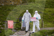 'We feel more prepared': Farne Islands face another season battling avian flu