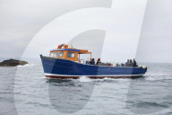 'We feel more prepared': Farne Islands face another season battling avian flu