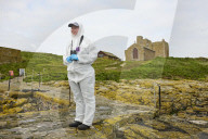 'We feel more prepared': Farne Islands face another season battling avian flu