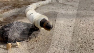 US space agency NASA shows off robot snake for exploring alien worlds.                             