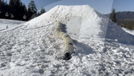 US space agency NASA shows off robot snake for exploring alien worlds.                             