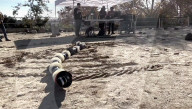 US space agency NASA shows off robot snake for exploring alien worlds.                             