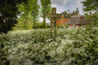 No Mow May Thaxted Churchyard in North Essex, UK.No Mow May Thaxted Churchyard in North Essex, UK.