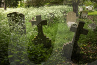 No Mow May Thaxted Churchyard in North Essex, UK.No Mow May Thaxted Churchyard in North Essex, UK.