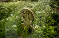 No Mow May Thaxted Churchyard in North Essex, UK.No Mow May Thaxted Churchyard in North Essex, UK.