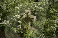 No Mow May Thaxted Churchyard in North Essex, UK.No Mow May Thaxted Churchyard in North Essex, UK.