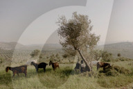 A precious resource: how Israel uses water to control the West Bank