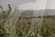 A precious resource: how Israel uses water to control the West Bank