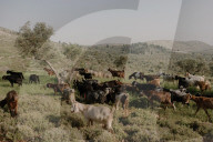 A precious resource: how Israel uses water to control the West Bank