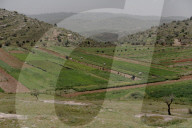 A precious resource: how Israel uses water to control the West Bank