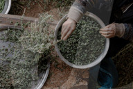 A precious resource: how Israel uses water to control the West Bank