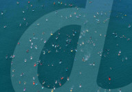 NEWS - Surfer protestieren gegen AbwÃ¤sser in Brighton