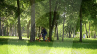 Square wheel bike maker returns with triangular ones           