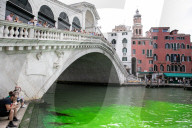 NEWS - Venedig, das Wasser des Canal Grande färbt sich phosphoreszierend grün