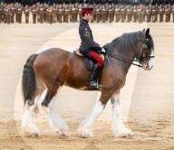 The Brigade Major's Review at Horseguards Parade, Westminster, London, UK. 
1st June 2023.