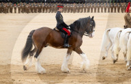 The Brigade Major's Review at Horseguards Parade, Westminster, London, UK. 
1st June 2023.