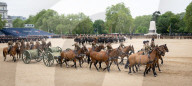 The Brigade Major's Review at Horseguards Parade, Westminster, London, UK. 
1st June 2023.