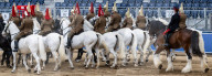 The Brigade Major's Review at Horseguards Parade, Westminster, London, UK. 
1st June 2023.