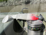 FEATURE - Italienischer Angler fÃ¤ngt 'Weltrekord'-Wels