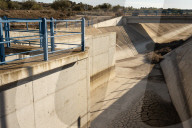 Catalonia's farmers face threat of drought ... and a plague of hungry rabbits